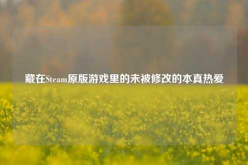 藏在Steam原版游戏里的未被修改的本真热爱