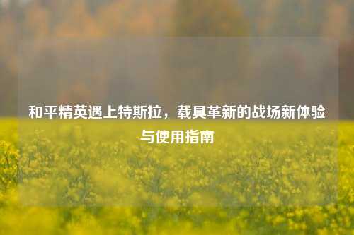 和平精英遇上特斯拉,载具革新的战场新体验与使用指南