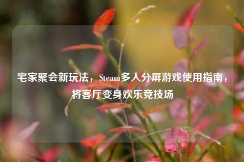 宅家聚会新玩法，Steam多人分屏游戏使用指南，将客厅变身欢乐竞技场