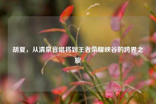 胡夏,从清泉音唱将到王者荣耀峡谷的跨界之旅