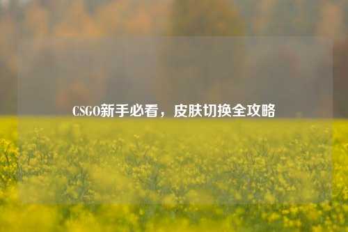 CSGO新手必看，皮肤切换全攻略
