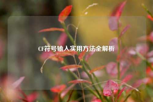 CF符号输入实用方法全解析