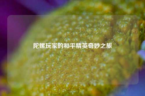 陀螺玩家的和平精英奇妙之旅