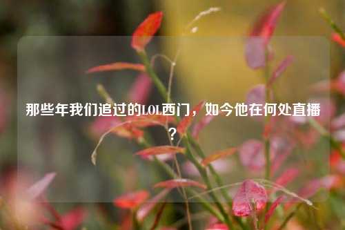 那些年我们追过的LOL西门，如今他在何处直播？