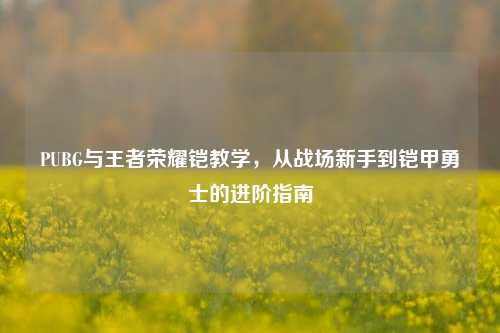 PUBG与王者荣耀铠教学,从战场新手到铠甲勇士的进阶指南
