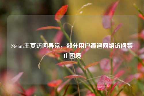 Steam主页访问异常，部分用户遭遇网络访问禁止困境