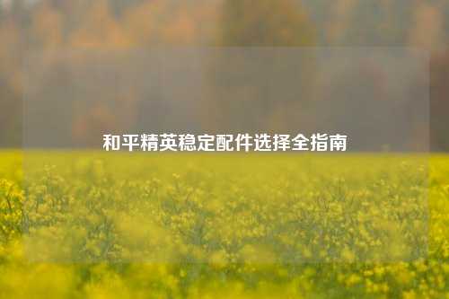 和平精英稳定配件选择全指南