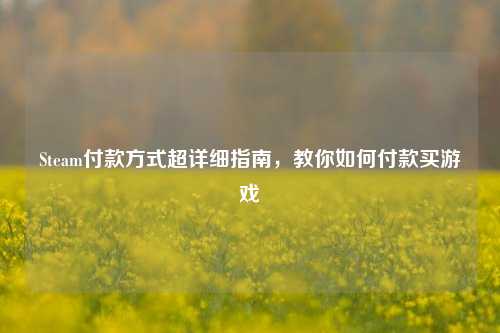 Steam付款方式超详细指南,教你如何付款买游戏