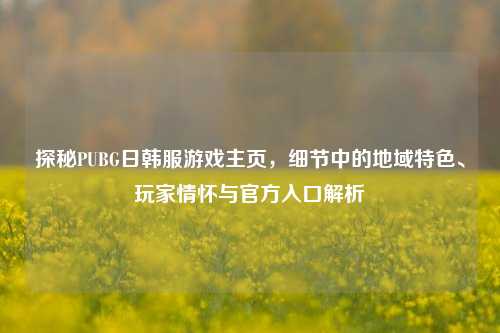 探秘PUBG日韩服游戏主页,细节中的地域特色、玩家情怀与官方入口解析