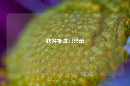 峡谷扯嘴日常录