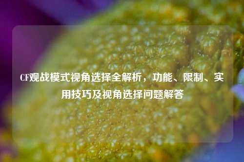 CF观战模式视角选择全解析,功能、限制、实用技巧及视角选择问题解答