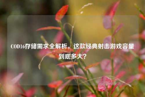 COD16存储需求全解析，这款经典射击游戏容量到底多大？