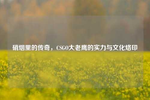 硝烟里的传奇，CSGO大老鹰的实力与文化烙印