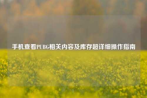 手机查看PUBG相关内容及库存超详细操作指南