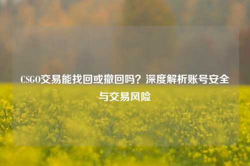 CSGO交易能找回或撤回吗?深度解析账号安全与交易风险