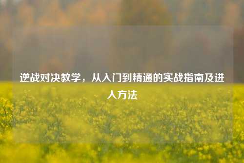 逆战对决教学,从入门到精通的实战指南及进入方法