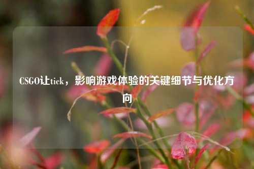 CSGO让tick,影响游戏体验的关键细节与优化方向