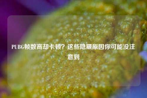 PUBG帧数高却卡顿？这些隐藏原因你可能没注意到