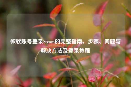 微软账号登录Steam的完整指南,步骤、问题与解决方法及登录教程