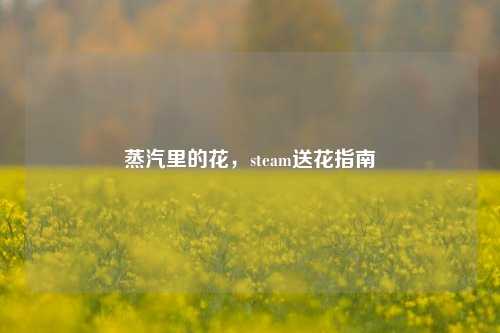 蒸汽里的花,steam送花指南