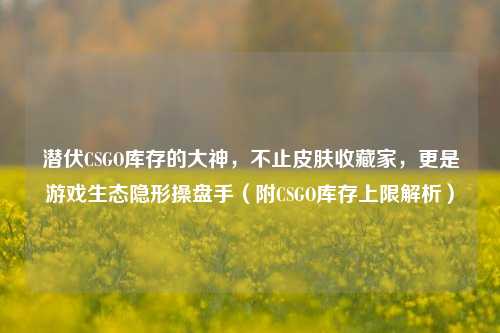 潜伏CSGO库存的大神，不止皮肤收藏家，更是游戏生态隐形操盘手（附CSGO库存上限解析）