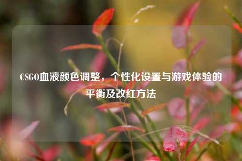 CSGO血液颜色调整，个性化设置与游戏体验的平衡及改红方法