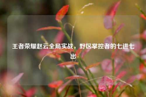 王者荣耀赵云全局实战，野区掌控者的七进七出