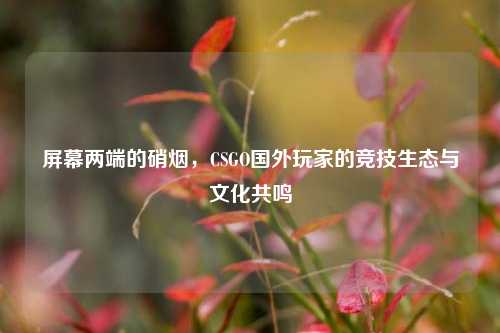 屏幕两端的硝烟，CSGO国外玩家的竞技生态与文化共鸣