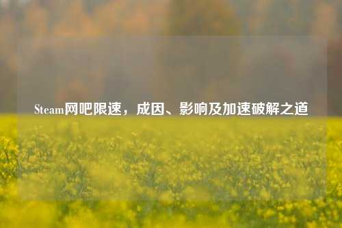 Steam网吧限速,成因、影响及加速破解之道