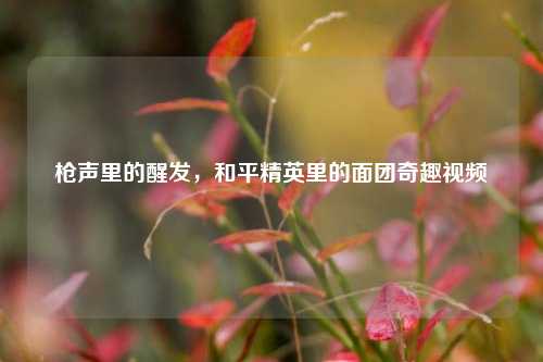 枪声里的醒发,和平精英里的面团奇趣视频