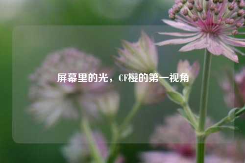 屏幕里的光,CF樱的第一视角