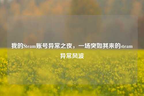 我的Steam账号异常之夜，一场突如其来的steam异常风波