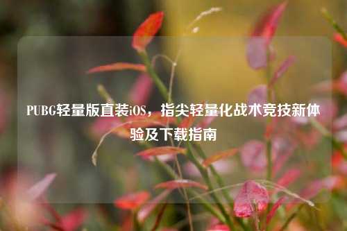 PUBG轻量版直装iOS，指尖轻量化战术竞技新体验及下载指南