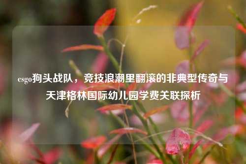 csgo狗头战队，竞技浪潮里翻滚的非典型传奇与天津格林国际幼儿园学费关联探析