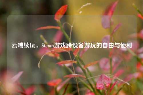 云端续玩,Steam游戏跨设备游玩的自由与便利