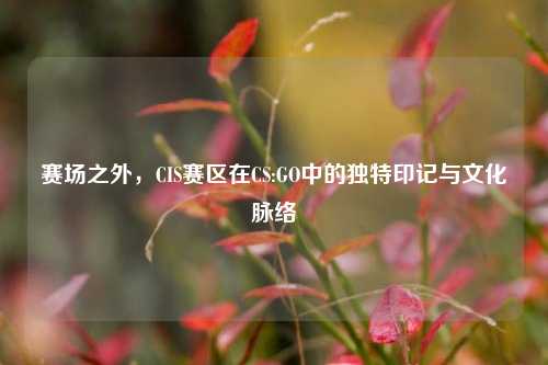 赛场之外,CIS赛区在CS:GO中的独特印记与文化脉络