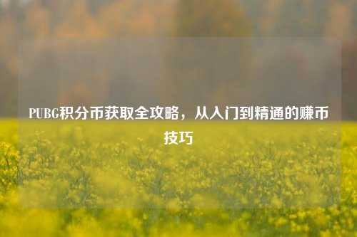 PUBG积分币获取全攻略,从入门到精通的赚币技巧